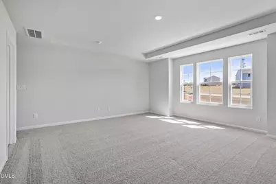 248 Alice Trace Place, Angier, NC 27501 - Photo 19