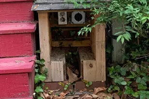 3125 Stanford Dr, Durham, NC 27707 - Photo 35