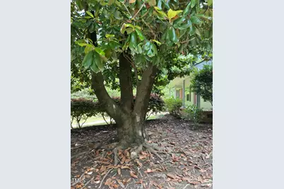 3125 Stanford Drive, Durham, NC 27707 - Photo 41