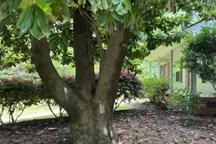 3125 Stanford Dr, Durham, NC 27707 - Photo 41