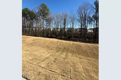 145 Sugar Pine Drive, Franklinton, NC 27525 - Photo 31