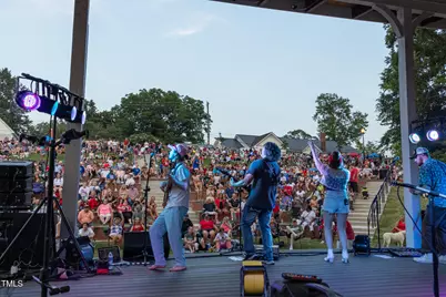 315 New Twin Branch Court, Smithfield, NC 27577 - Photo 41