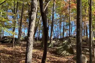 9 Buttonwood Ln, Roxboro, NC 27574 - Photo 1