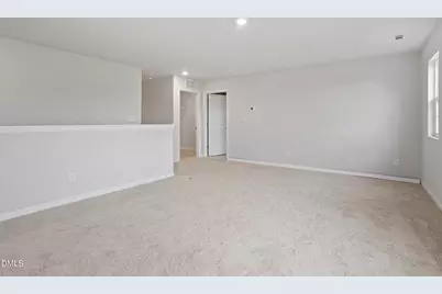 228 Alice Trace Place, Angier, NC 27501 - Photo 25