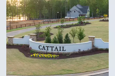 25 Alex Farm Court, Zebulon, NC 27597 - Photo 93