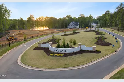 418 Mollie Mdw Drive, Zebulon, NC 27597 - Photo 51