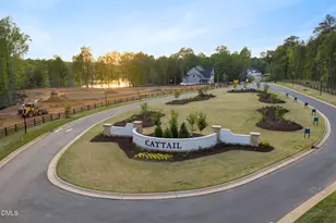 418 Mollie Mdw Dr, Zebulon, NC 27597 - Photo 51