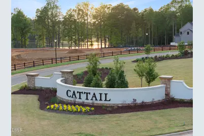 418 Mollie Mdw Drive, Zebulon, NC 27597 - Photo 49