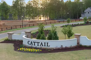 418 Mollie Mdw Dr, Zebulon, NC 27597 - Photo 49