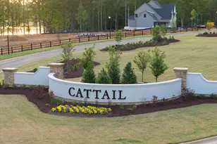476 Mollie Mdw Dr, Zebulon, NC 27597 - Photo 83