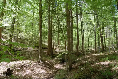 0 Egypt Mountain Road, Kittrell, NC 27544 - Photo 11