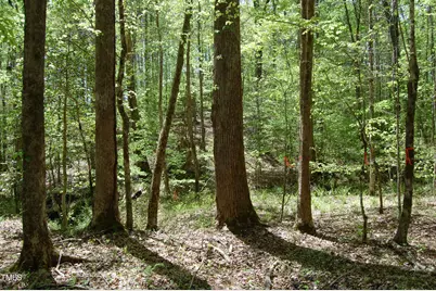 0 Egypt Mountain Road, Kittrell, NC 27544 - Photo 13