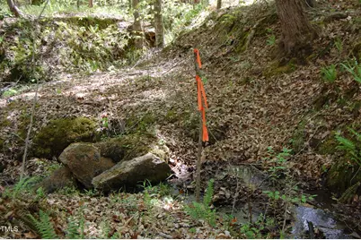 0 Egypt Mountain Road, Kittrell, NC 27544 - Photo 9