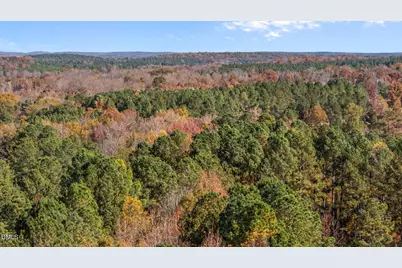 93 Bur Oak Court, Pittsboro, NC 27312 - Photo 63