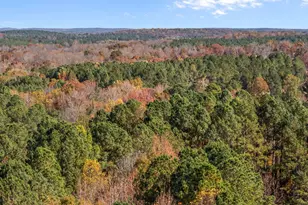 93 Bur Oak Ct, Pittsboro, NC 27312 - Photo 63