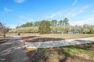 2420 Mollynick Ln, Wake Forest, NC 27587 - Photo 23