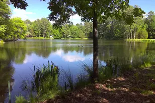 12 Crail Ct, Durham, NC 27712 - Photo 27