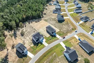 433 Old Fashioned Wy, Lillington, NC 27546 - Photo 29