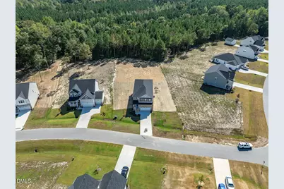 433 Old Fashioned Way, Lillington, NC 27546 - Photo 25