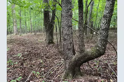 2450 Maeve Lane, Durham, NC 27705 - Photo 31