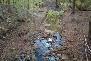 79 Oldham Est Dr, Chapel Hill, NC 27517 - Photo 61