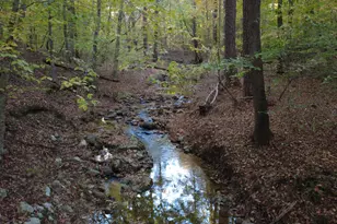 79 Oldham Est Dr, Chapel Hill, NC 27517 - Photo 67