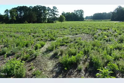 Lot 5 Triskel, Zebulon, NC 27597 - Photo 5
