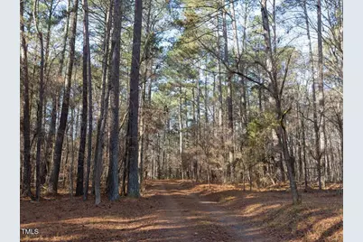 Lot 1 C Turkey Buzzard Lane, Pittsboro, NC 27312 - Photo 5