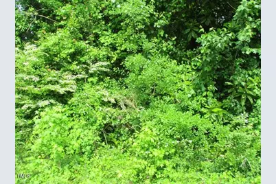 0 Airport Road, Garland, NC 28441 - Photo 1