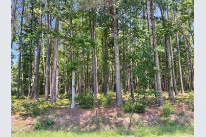 000 Edwards Road, Spring Hope, NC 27882 - Photo 3