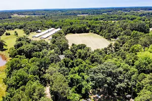 2642 Holly Springs Church Rd, Broadway, NC 27505 - Photo 89