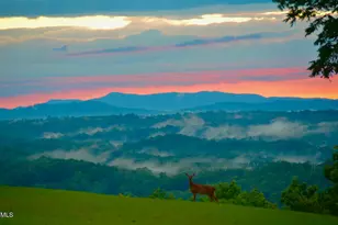 1045 Taylor Hill Rd, Danbury, NC 27016 - Photo 69