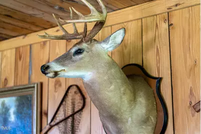 1045 Taylor Hill Road, Danbury, NC 27016 - Photo 33