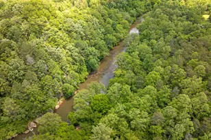 1045 Taylor Hill Rd, Danbury, NC 27016 - Photo 91