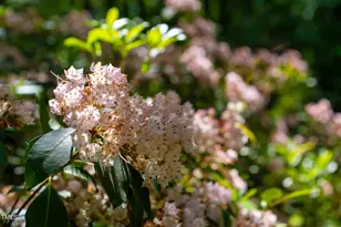 1045 Taylor Hill Rd, Danbury, NC 27016 - Photo 13