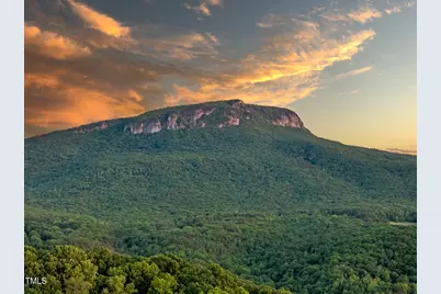 1045 Taylor Hill Road, Danbury, NC 27016 - Photo 1