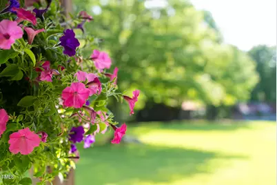 1045 Taylor Hill Road, Danbury, NC 27016 - Photo 29