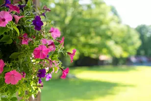 1045 Taylor Hill Rd, Danbury, NC 27016 - Photo 29