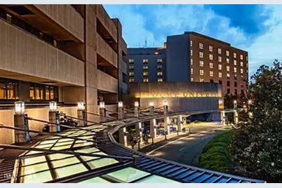 1041 Zelkova Lane, Chapel Hill, NC 27517 - Photo 27