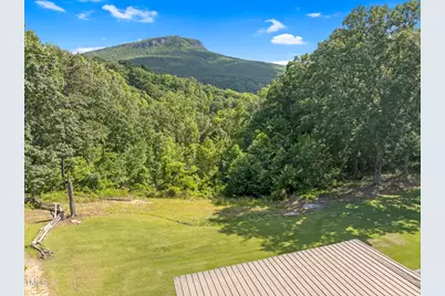 1215 Single Tree Road, Danbury, NC 27016 - Photo 93