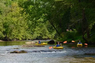 1215 Single Tree Rd, Danbury, NC 27016 - Photo 15