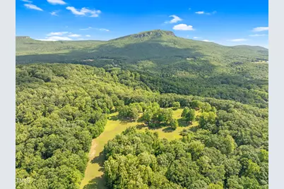 1215 Single Tree Road, Danbury, NC 27016 - Photo 7