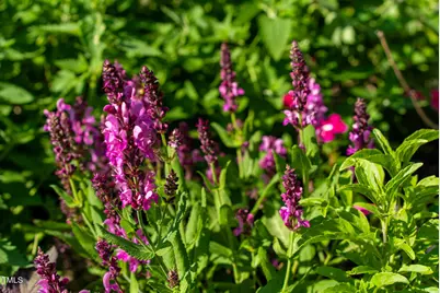 1215 Single Tree Road, Danbury, NC 27016 - Photo 27