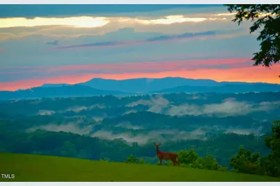 1215 Single Tree Road, Danbury, NC 27016 - Photo 69