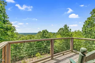 1215 Single Tree Rd, Danbury, NC 27016 - Photo 77