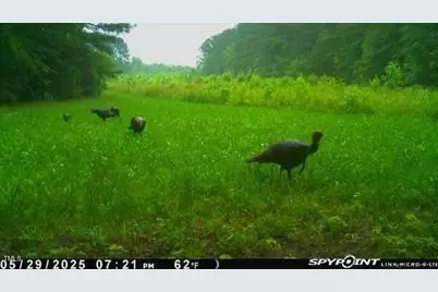 300 Christmas Road, Warrenton, NC 27589 - Photo 19