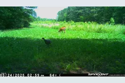 300 Christmas Road, Warrenton, NC 27589 - Photo 23