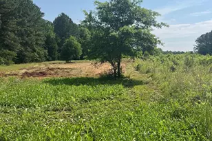 300 Christmas Rd, Warrenton, NC 27589 - Photo 29