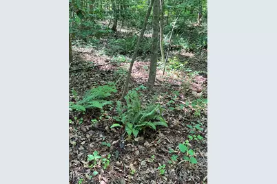 300 Christmas Road, Warrenton, NC 27589 - Photo 33