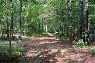 300 Christmas Rd, Warrenton, NC 27589 - Photo 31